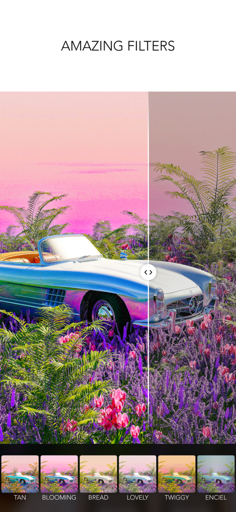 MOLDIV app interface showing professional photo filters with a before and after comparison