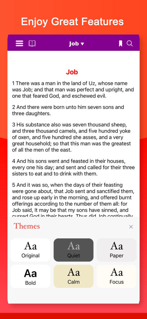 Bible: Read KJV, Study & Audio - Interface of the KJV Bible app showing customizable reading themes and the Book of Job text.