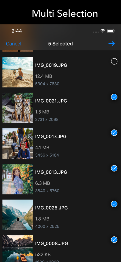 Multi-selection screen in EXIF Tool showing photo filenames, sizes, and dimensions.