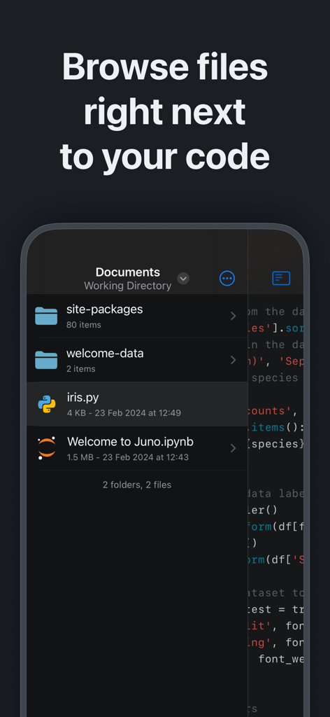 Juno – Python and Jupyter - Interfaz de la aplicación móvil Juno que muestra un explorador de archivos con scripts Python y notebooks de Jupyter junto al código fuente.