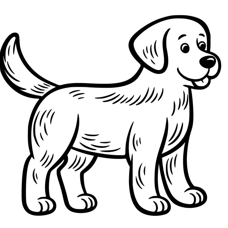 a easy dog