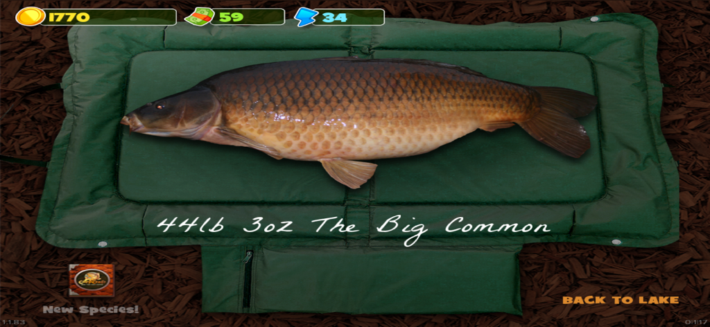 Carpcraft: Carp Fishing - Una gran carpa común de 44 libras capturada y mostrada en una alfombrilla verde en Carpcraft