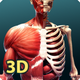 Anatomy & Physiology AR