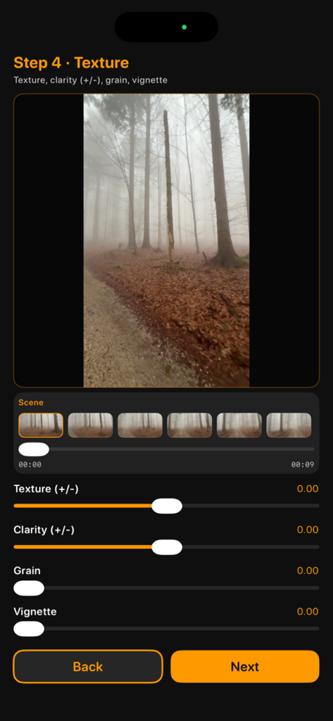 Cinerec - Interface of the Cinerec mobile app showing the texture editing step with sliders for clarity grain and vignette over a cinematic foggy forest scene