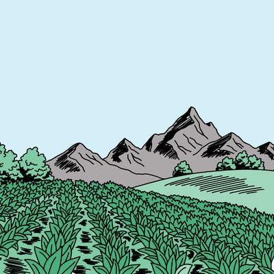 places_08