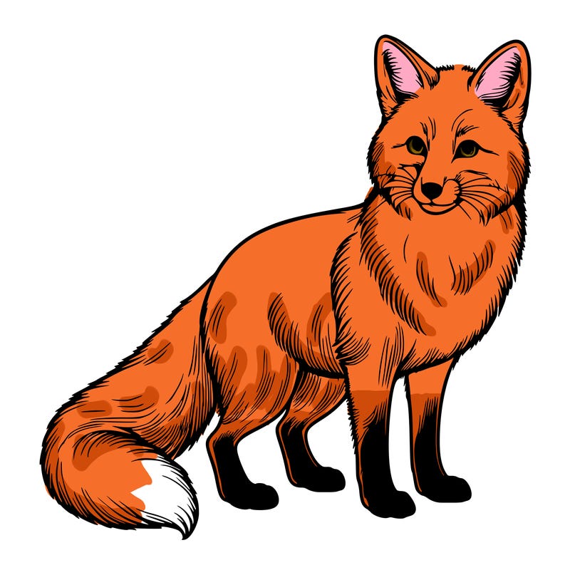 realistic fox