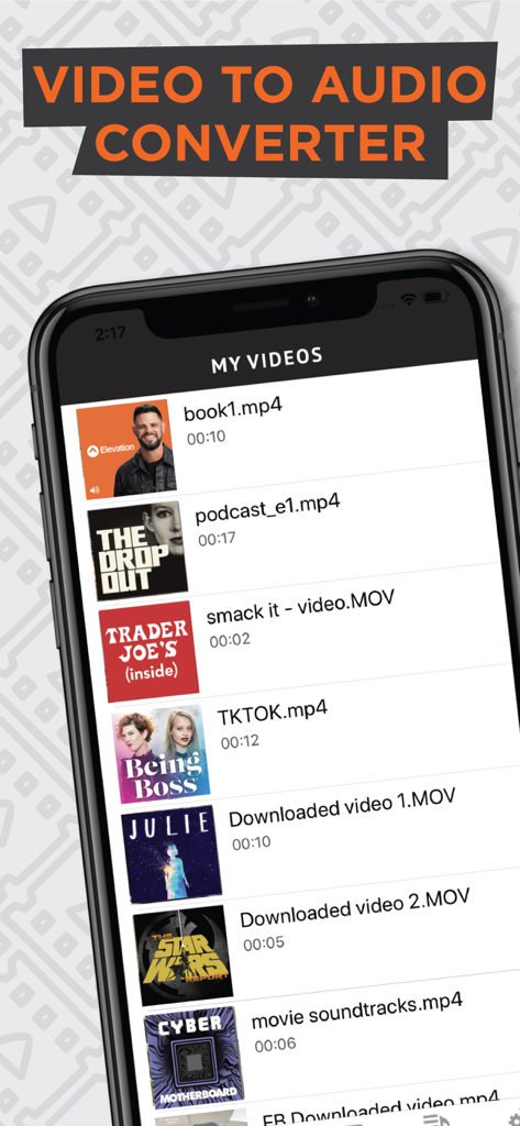 Video to Audio Converter App - Interface of the Video to Audio Converter App showing a list of video files on an iPhone