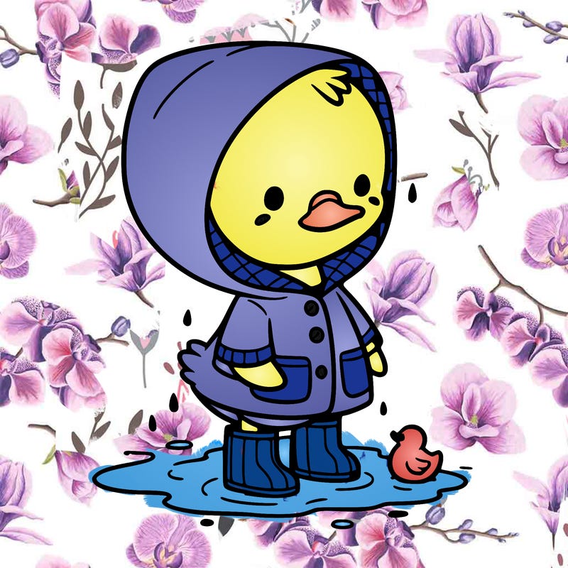 baby duck in a rain coat and boots, in a puddle while it’s raining