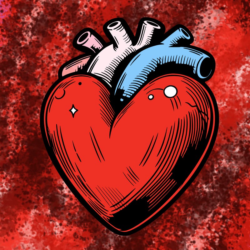 realistic heart