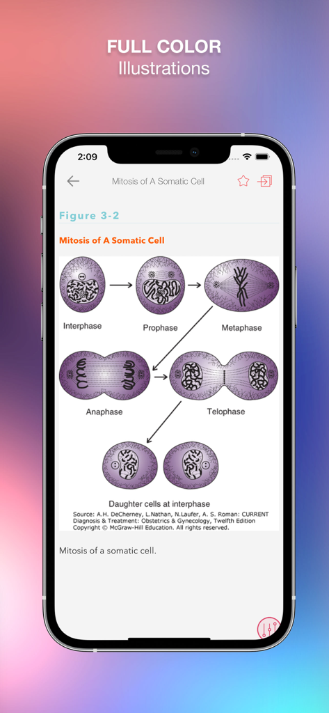 Full color medical illustration of somatic cell mitosis stages within the Harrison Manual Medicine app