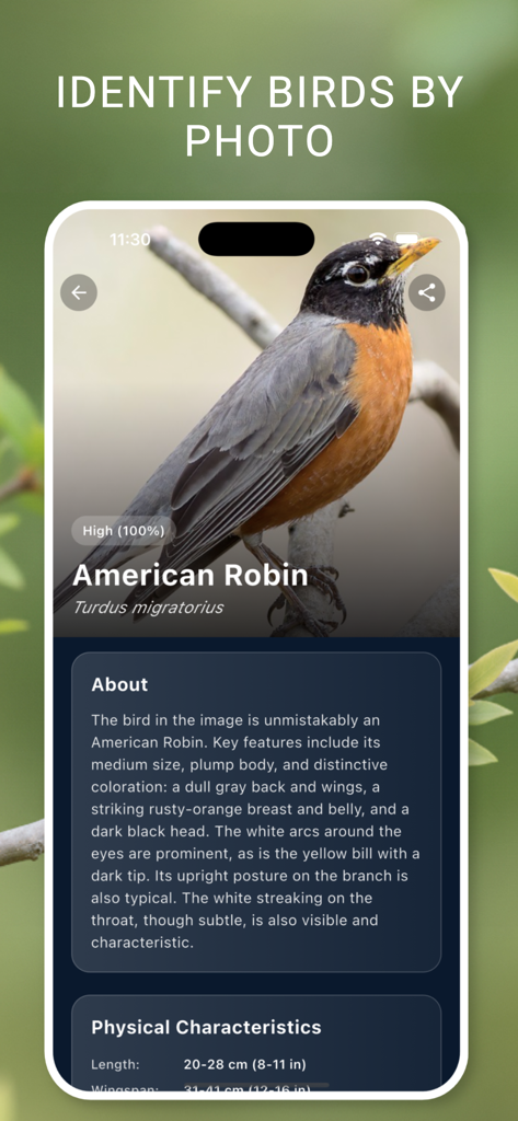 Pantalla de la aplicación de identificación de aves mostrando una foto de un Mirlo Americano con información detallada de la especie