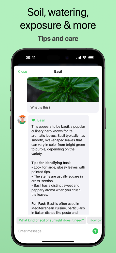 Plant Identifier - AI Scanner - Aplicación Identificador de Plantas que muestra identificación botánica IA y consejos de cuidado para albahaca