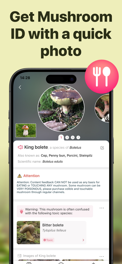 Picture Mushroom: Identifier - 毒性のある類似種に関する警告とともに、King bolete（ヤマドリタケ）マッシュルームを識別しているアプリ画面