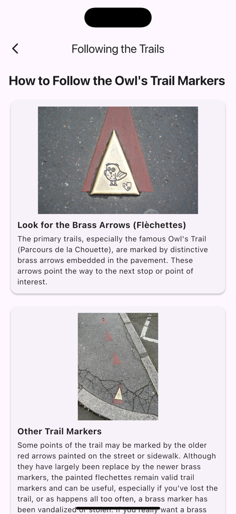 Dijon: The Owl's Trail - Guide explaining how to follow the brass owl trail markers and street arrows in Dijon.