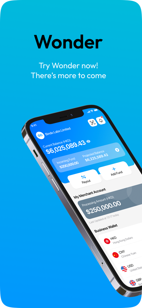 Wonder - Business Account - Wonder business account mobile dashboard displaying balance and multi-currency wallet
