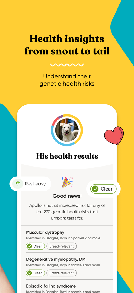 Embark Vet app interface showing a dog's genetic health test results with clear status for multiple conditions.