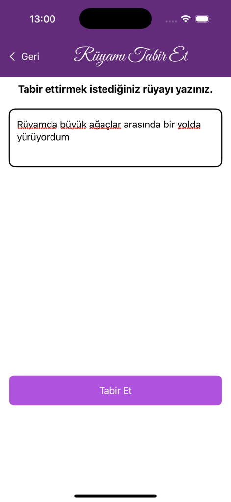 Rüya Tabirleri AI - Interfaccia utente dell'app Rüya Tabirleri AI che mostra una casella di testo per descrivere un sogno per l'interpretazione IA.