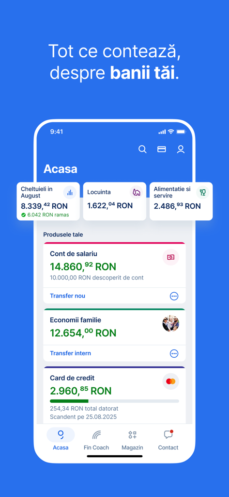 George Romania - Tableau de bord de l'application George Roumanie montrant les comptes bancaires personnels et l'analyse des dépenses mensuelles