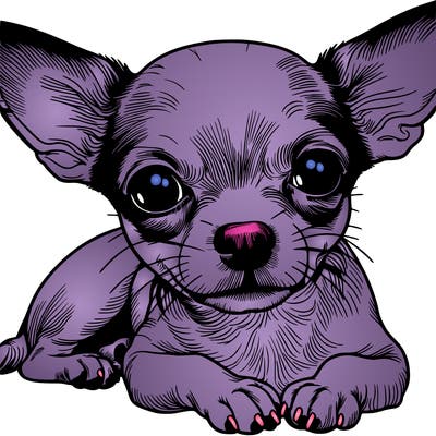 realistic chihuahua