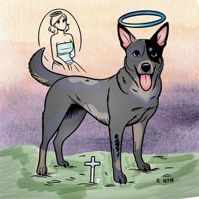 queensland heeler dog in heaven skinny female realistic