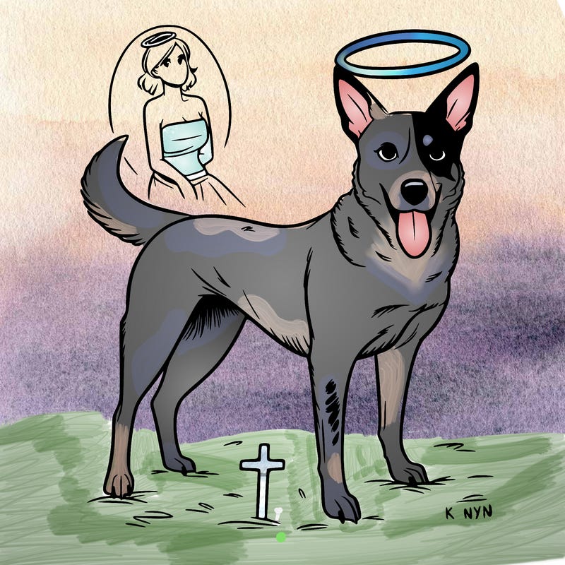 queensland heeler dog in heaven skinny female realistic