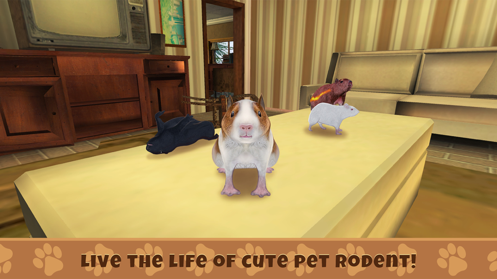 Guinea Pig Simulator Game - A group of different guinea pig breeds on a table in a living room in Guinea Pig Simulator Game.