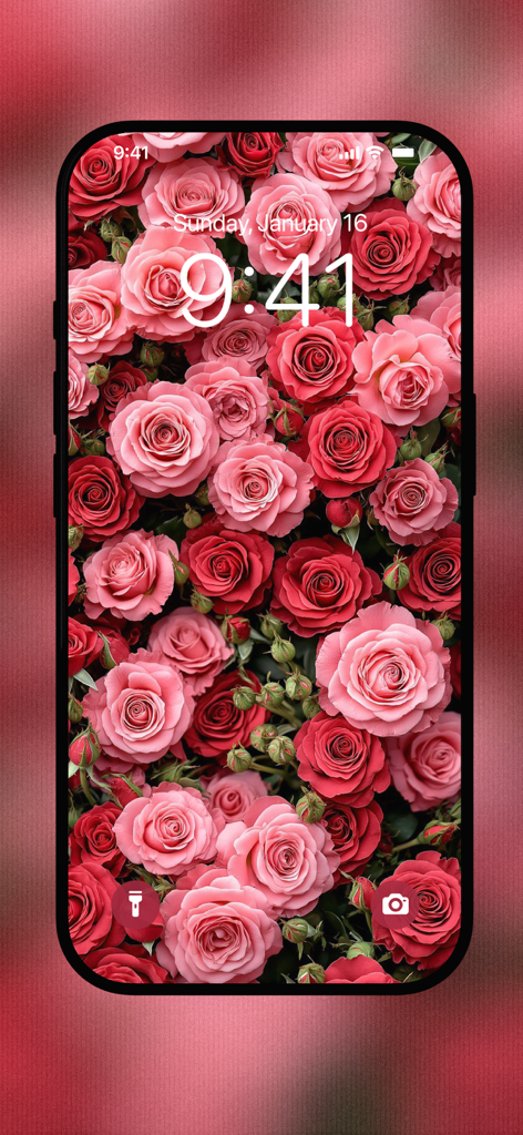 Red Rose Wallpapers Flowers - Graphics & Design App | MWM