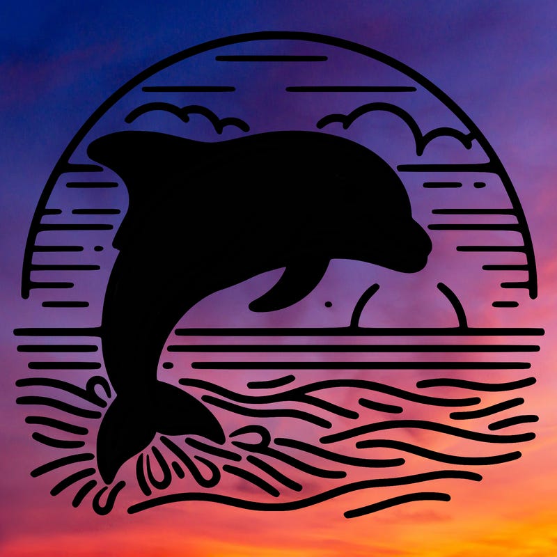 dolphin in a sunset