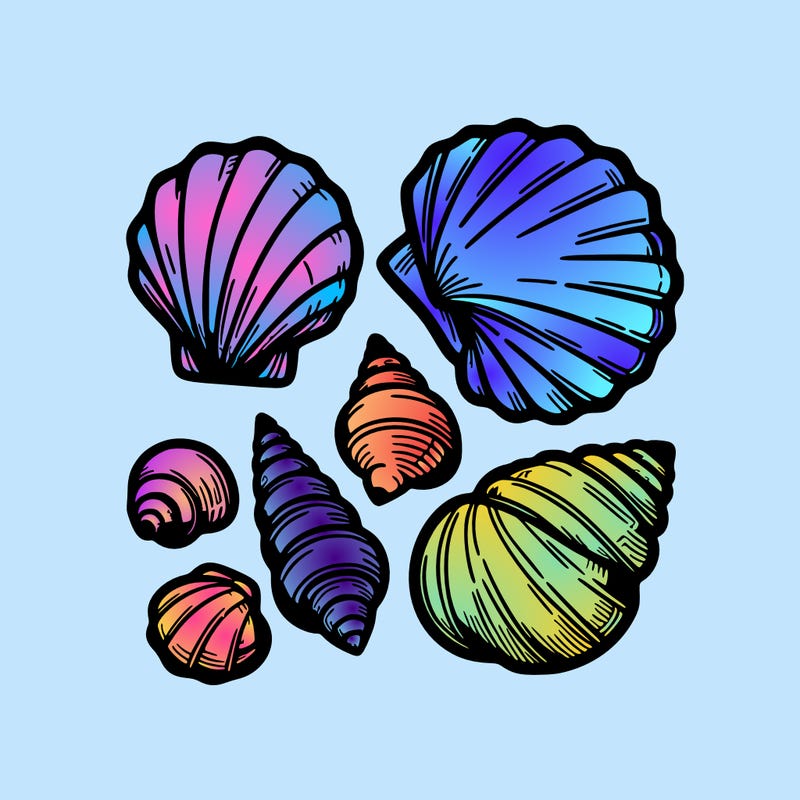 shells