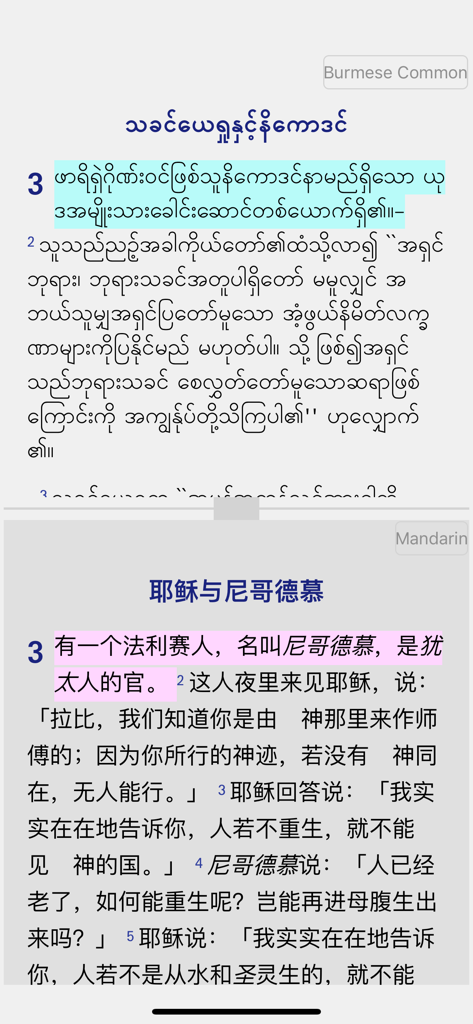 A parallel reading view showing Burmese script on top and Mandarin Chinese script on the bottom within a mobile bible app interface.