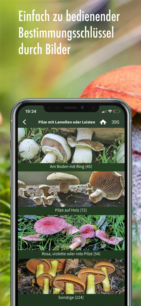 Clé d'identification visuelle des champignons dans l'application Pilzfuehrer Schweiz Pro montrant différentes catégories en fonction de leurs caractéristiques physiques.