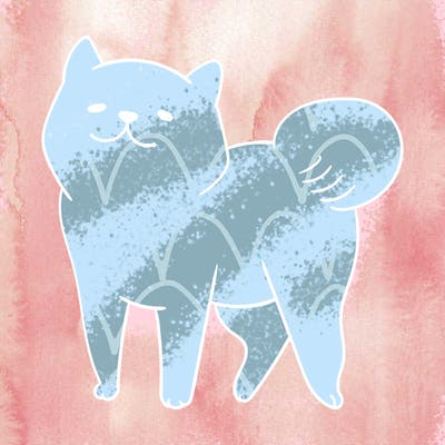 animals_29