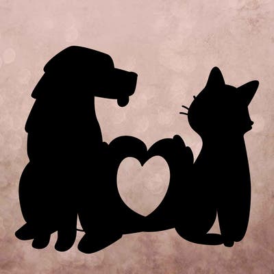 animals_22