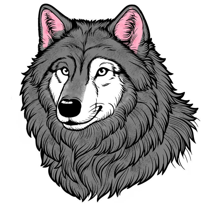 realistic wolf