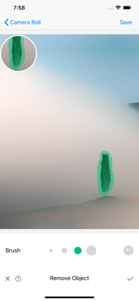 Selecting an object for removal using a green brush in the Object Removal Pro app interface