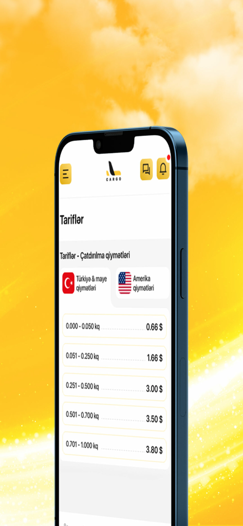 166Cargo App-Oberfläche mit internationalen Versandtarifen und Lieferpreisen für die Türkei und die USA, basierend auf dem Paketgewicht