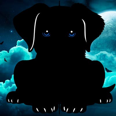 realistic dog split picture