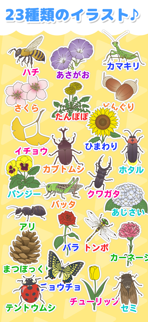 植物・昆虫なあに？ - タッチ図鑑シリーズ - Colección de 23 coloridas ilustraciones de plantas e insectos con etiquetas en japonés para niños