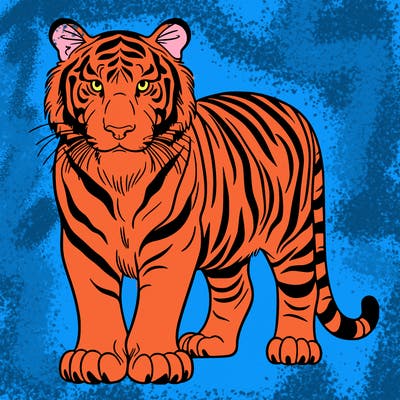 tiger