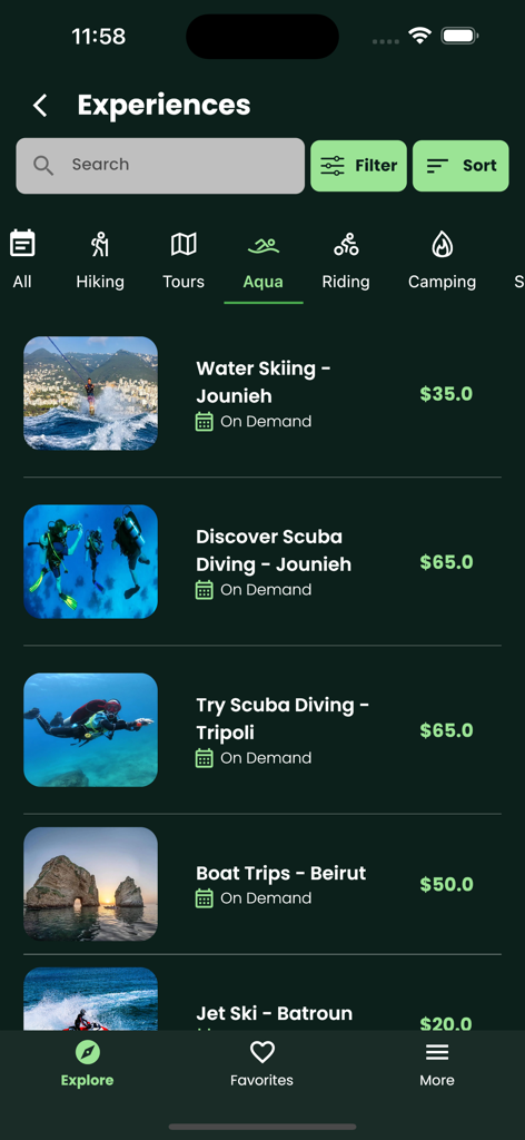 레바논의 스쿠버 다이빙 및 보트 여행과 같은 수상 활동을 나열하는 모바일 앱 화면