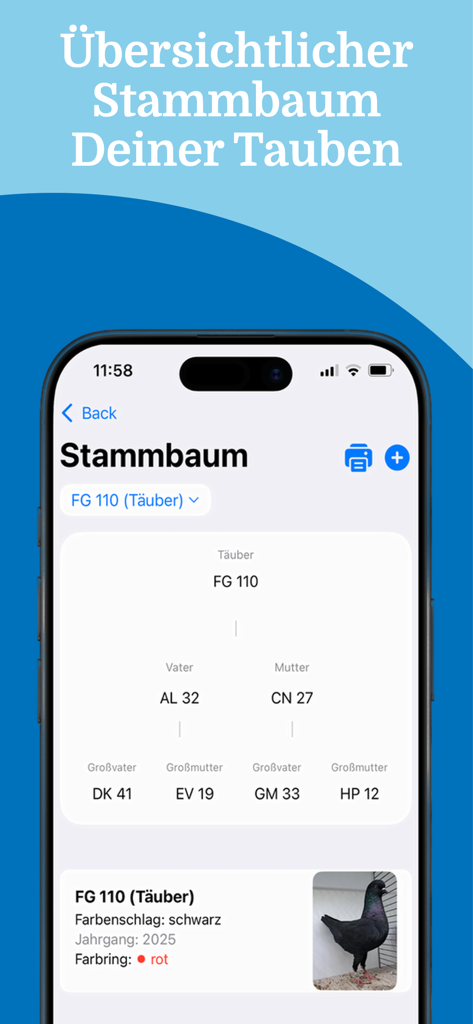 Pigeon Manager - Pigeon Manager app showing a pigeon pedigree chart and family lineage details.