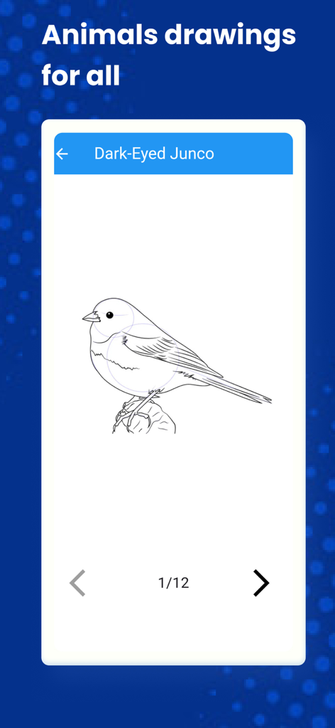 How to Draw Animals by Steps - Interfaz de tutorial de dibujo que muestra los pasos para dibujar un ave Junco de Ojos Oscuros