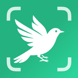 BirdScope: Bird Identifier