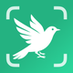 BirdScope: Bird Identifier