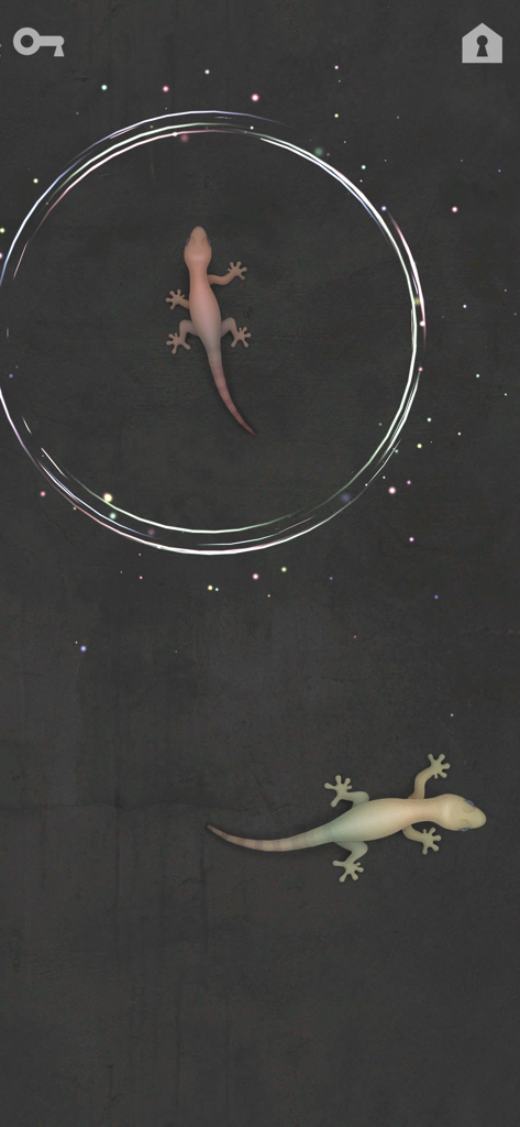 Two lizards crawling on a dark screen in the CAT ALONE cat toy app