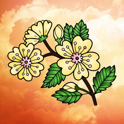 flowers_11