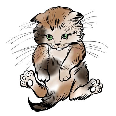 animals_20