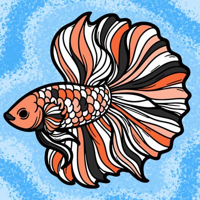 betta fish