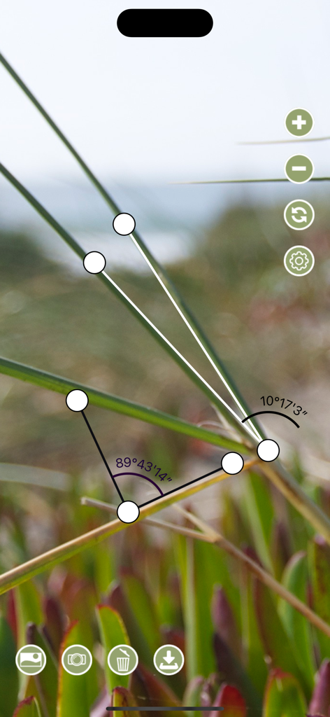 Angle Meter 360 - Interface of Angle Meter 360 measuring plant angles using the camera