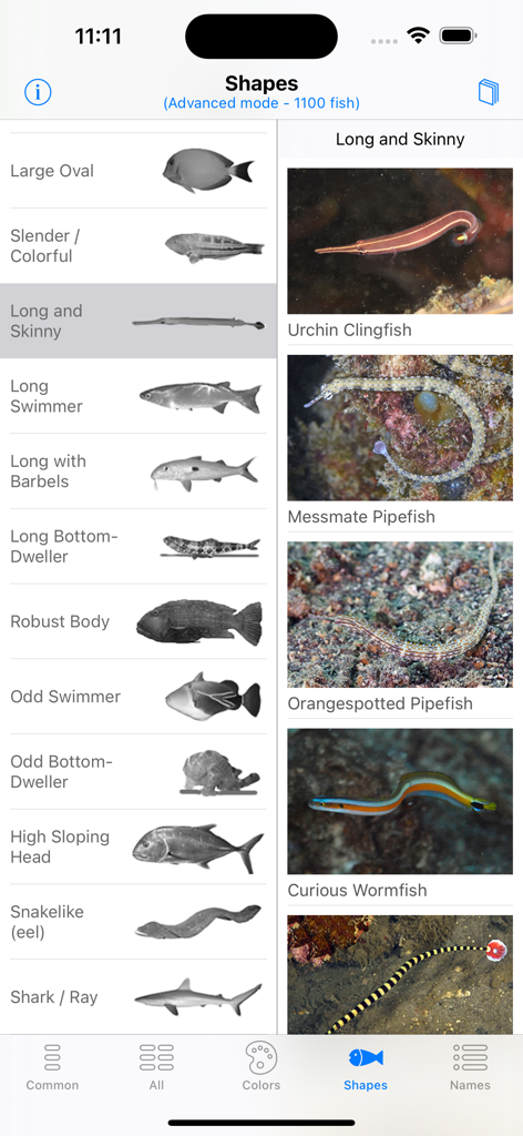 Philippines Fish ID - Philippines Fish ID app interface showing fish identification by body shape categories and species photos